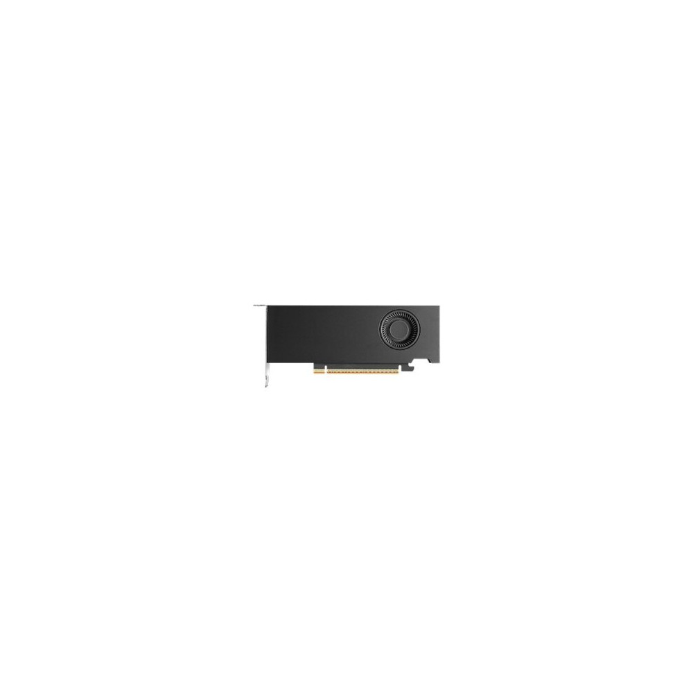 RTX Pro 2000 16GB Nvidia Blackwell Workstation Grafikkarte