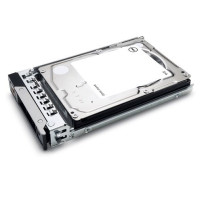 Dell - HDD - crittografato - 2.4 TB - hot swap - 2.5" - SAS 12Gb/s - 10000 rpm - FIPS - Self-Encrypting Drive (SED) - per PowerE