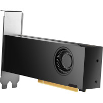 NVIDIA RTX 2000 Ada - Scheda grafica - NVIDIA RTX 2000 Ada - 16 GB GDDR6 - 4 x Mini DisplayPort