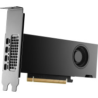 NVIDIA RTX 2000 Ada - Scheda grafica - NVIDIA RTX 2000 Ada - 16 GB GDDR6 - 4 x Mini DisplayPort