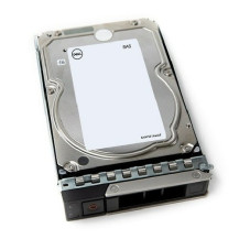DELL 161-BCJX disco rigido interno 12 TB 7200 Giri/min 3.5" SAS