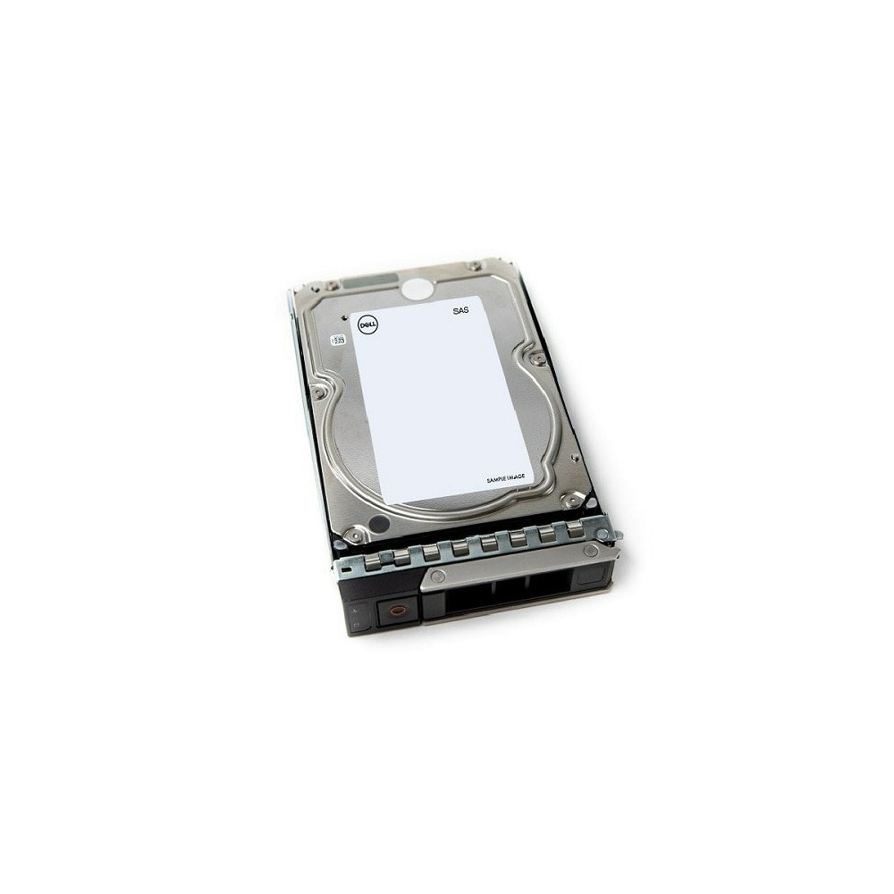 DELL 161-BCJX disco rigido interno 12 TB 7200 Giri/min 3.5" SAS