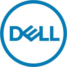DELL 161-BBPH disco rigido interno 4 TB 7200 Giri/min 3.5" NL-SAS