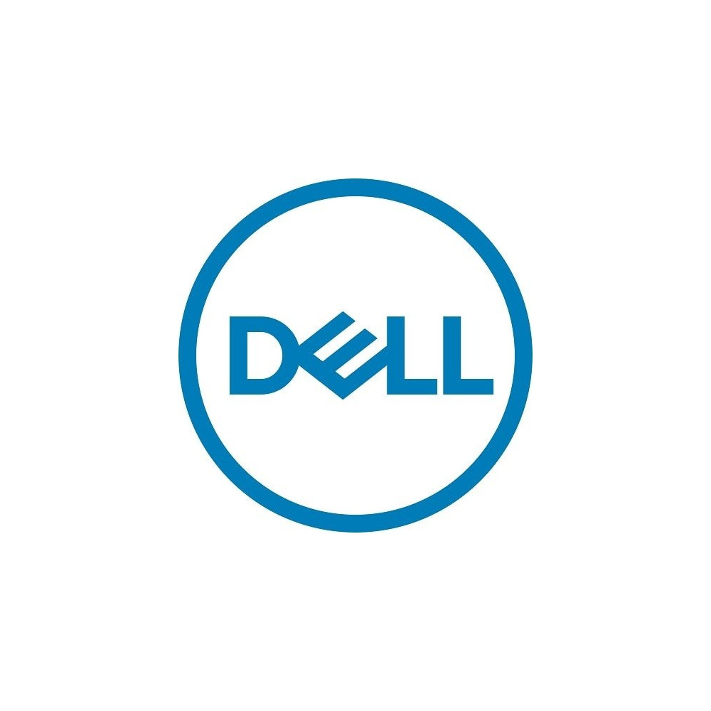 DELL 161-BBPH disco rigido interno 4 TB 7200 Giri/min 3.5" NL-SAS
