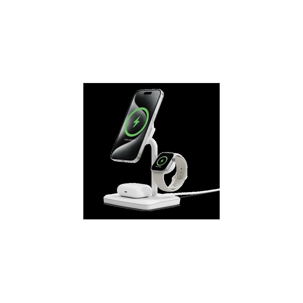 Immagine 2440-82851 Immagine 2440-82851