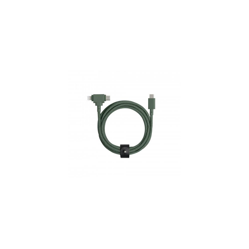 Immagine 15571-924116